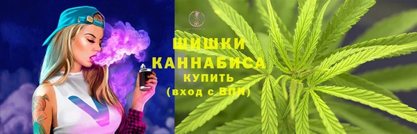 PSILOCYBIN Белокуриха
