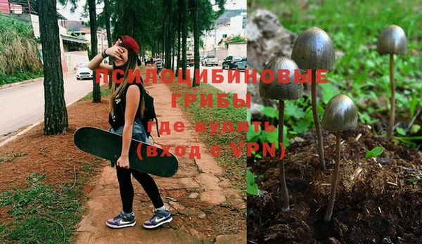 PSILOCYBIN Белоозёрский