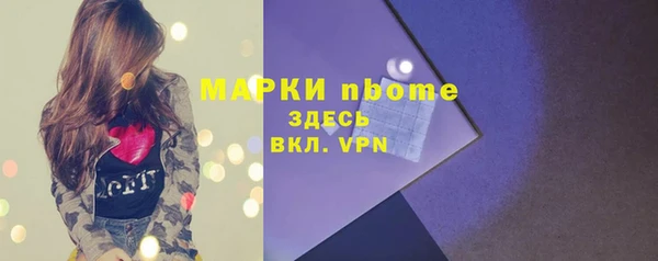 PSILOCYBIN Белокуриха