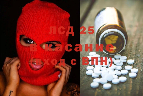 PSILOCYBIN Белокуриха