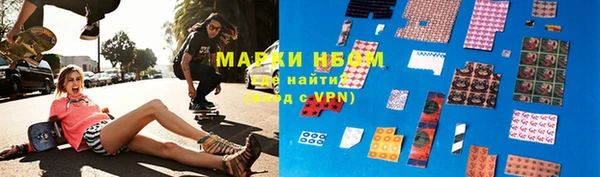 PSILOCYBIN Белокуриха
