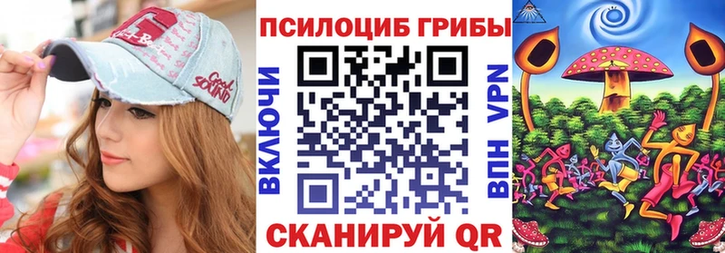 Псилоцибиновые грибы Psilocybine cubensis  Вышний Волочёк 